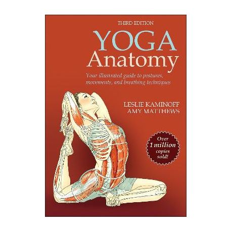 Yoga Anatomy, Shop Today. Get it Tomorrow!