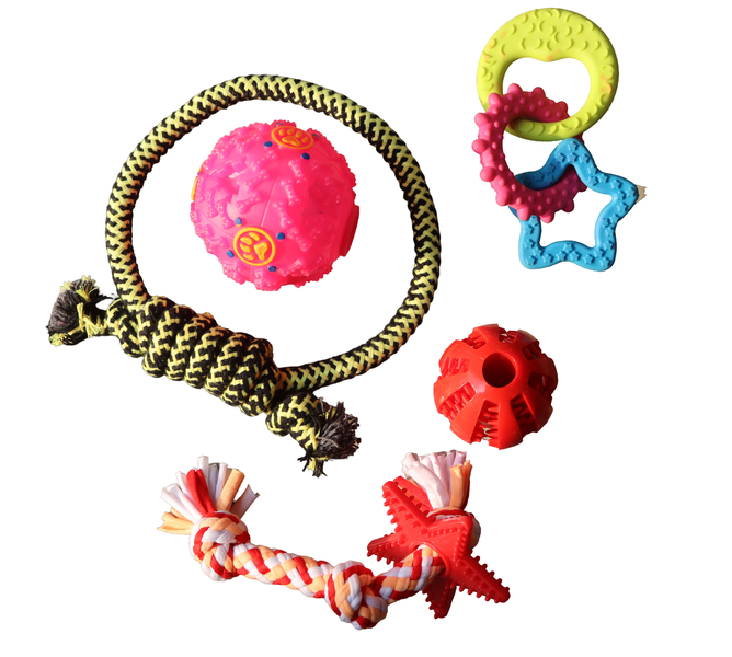 Ultimate Dog Toy Variety Pack - Chew, Fetch, &amp; Play! 5-Piece