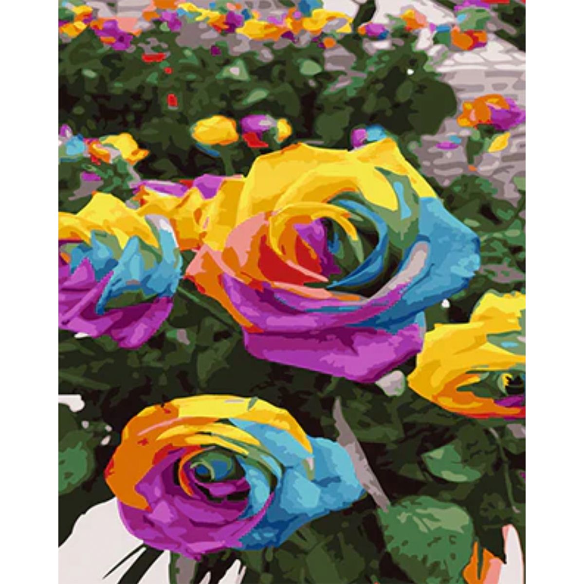 Paint By Numbers 40cmx50cm Rainbow Rose Flowers Shop Today. Get it Tomorrow!