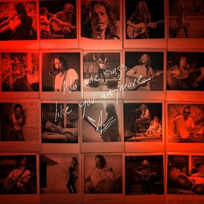 No One Sings Like You Anymore (Vinyl / 12" Album)
