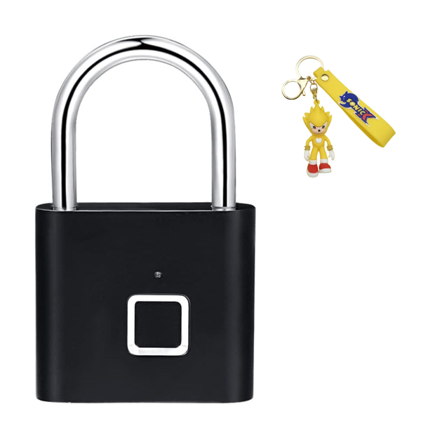 Secure Fingerprint Lock for Suitcases and Backpacks-dnsp/Key Holder