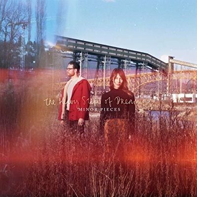 The Heavy Steps of Dreaming (Vinyl / 12" Album)