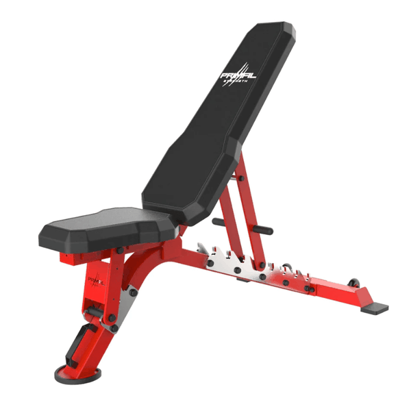 Prime Commercial Flat Incline &amp; Decline Bench - Pink