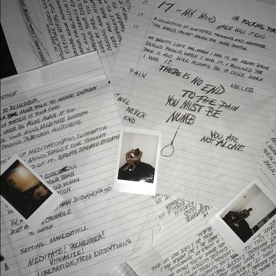 17 (Vinyl / 12" Album)