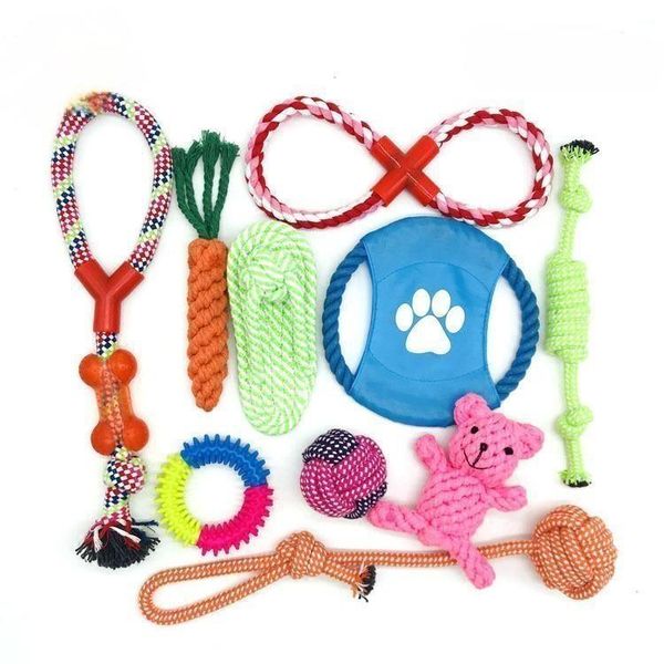 10 Piece Pet Toy Set - For Tugging and Chewing Pleasure