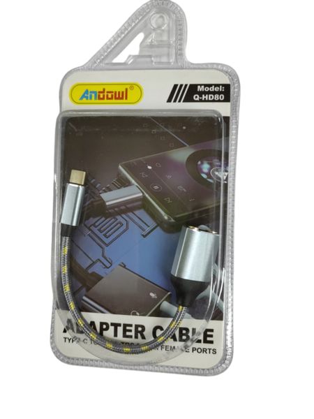 Adapter Cable Type-C to Dual TRS 3.5mm Female Ports Q-Hd80