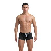 Men's Sexy Underwear Boxer Briefs Low Rise Mesh Sheer See Through