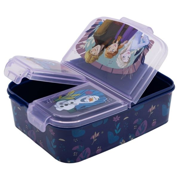 Frozen Trust The Journey Multi Compartment SBox