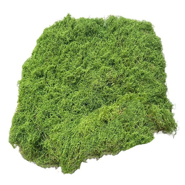 Simulation of White Hair Moss Filamentous Moss Lawn 45 x 40cm