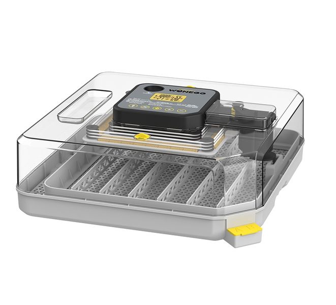 Clear View 48 Egg Incubator-Dual Power