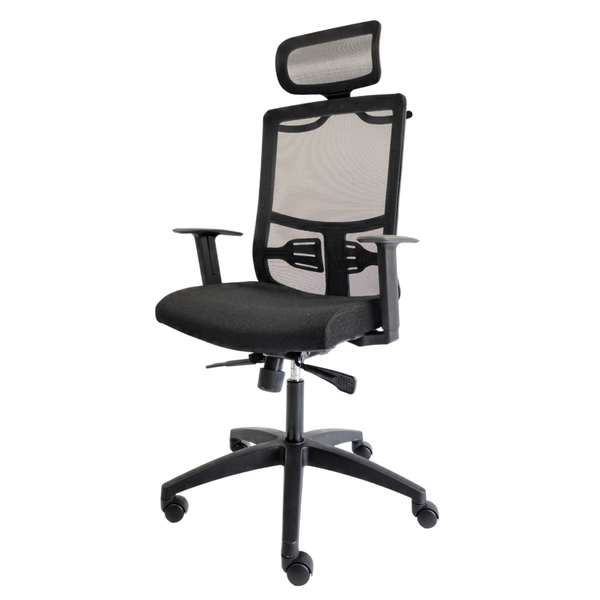 Executive Ergonomic Office Chair - TRIDENT