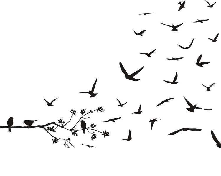 Fly Away Birds 2013 Vinyl Stickers image