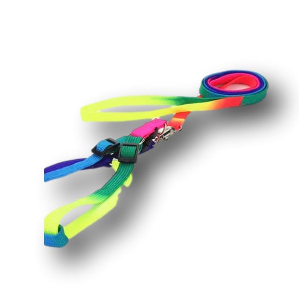 Luxury Dog Harness with Lead and Funky Design - Gift