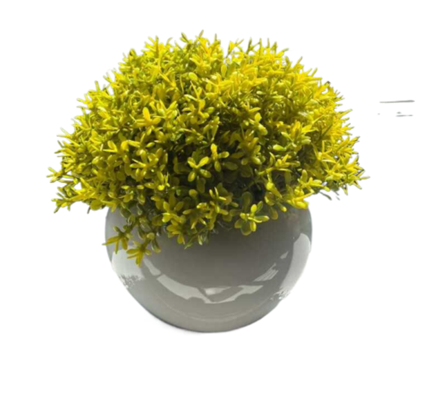 Home and Party Desktop Boxwood Indoor Decoration Plant