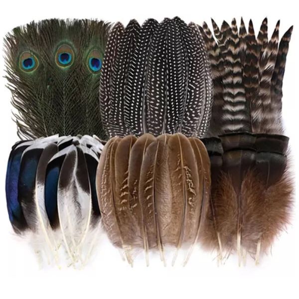 Craft DIY 48pcs 6 Styles Natural Pheasant Feathers Spotted Feathers