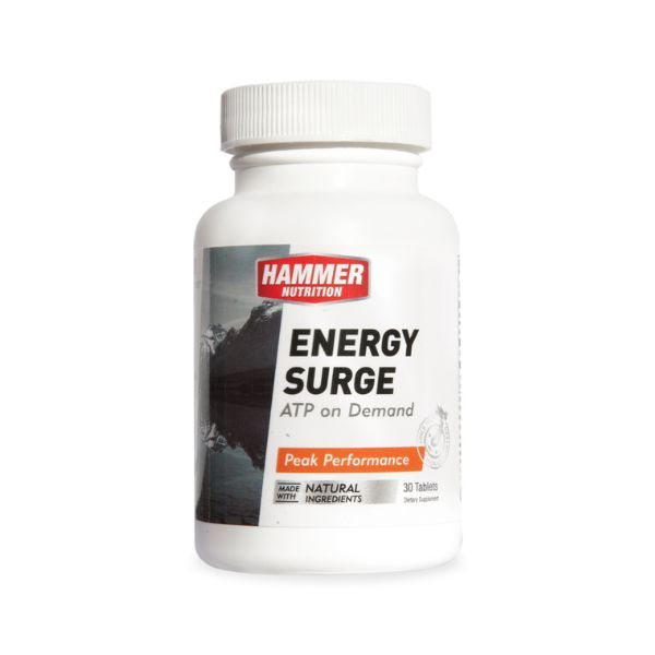Hammer Nutrition Energy Surge 30's