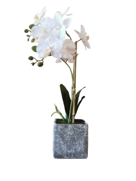 Artificial White Orchid Plant With Grey Vase 2 STem