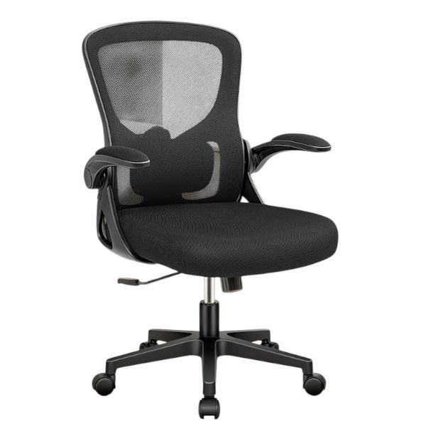 Office Chair, Ergonomic Desk Chairs