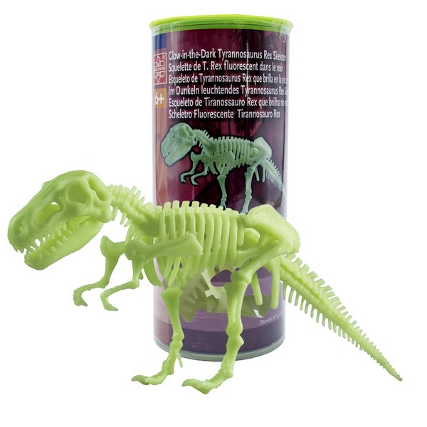 Edu-Science Glow-in-the-Dark Tyrannosaurus Rex Skeleton: 25cm x 10cm