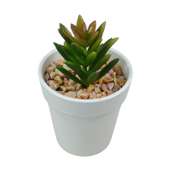 Green Potted Plant for Desk &amp; Home Decor - White