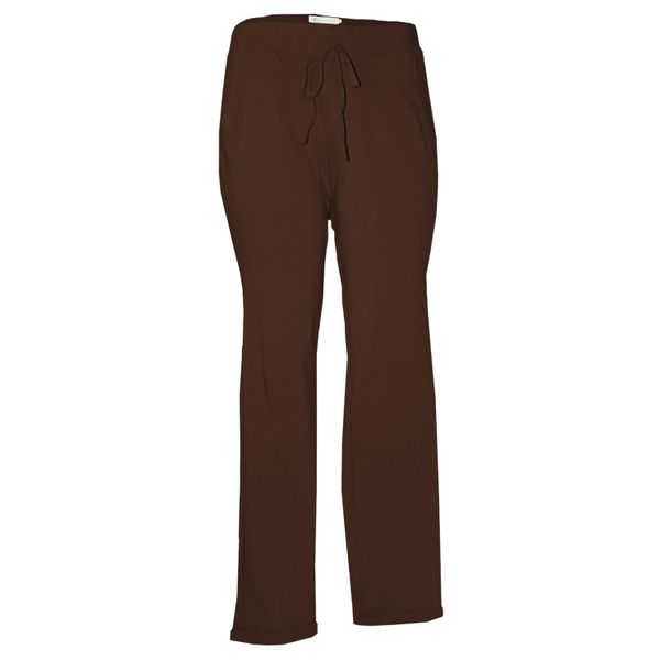 Nucleus Jogger Chino Pants in Brown