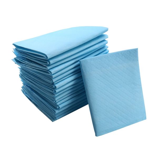 Puppy Training Pads For Dog Pet Pee Wee Mat (100 Pieces -60 X 60Cm)