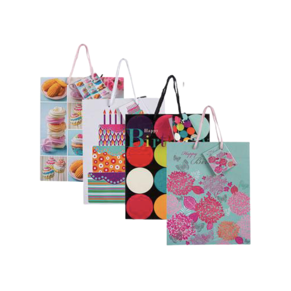Birthday Gift Bags Medium- Pack Of 4