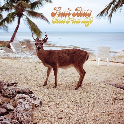 Gold Past Life (Vinyl / 12" Album)