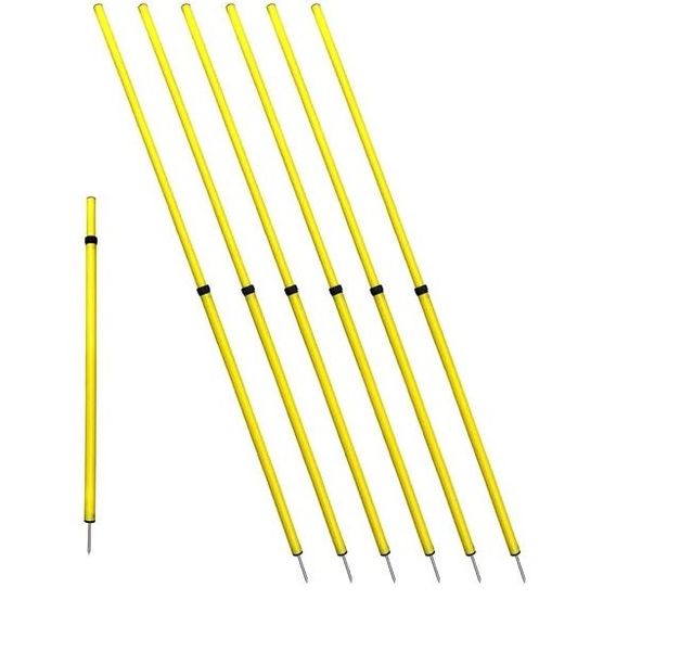 Winner Slalom Poles - Set of 10