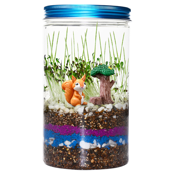 Terrarium Kit DIY Toy Science Children's Garden Kit Gift for Boys &amp; Girls