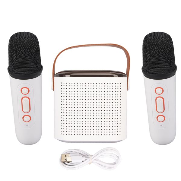Karaoke Machine Stereo Bluetooth Speaker with 2 Wireless Microphone White