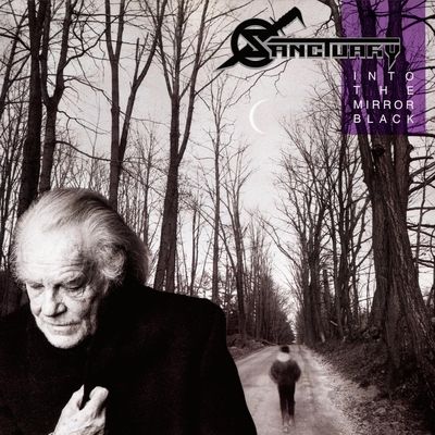 Into the Mirror Black (Vinyl / 12" Album (Gatefold Cover))