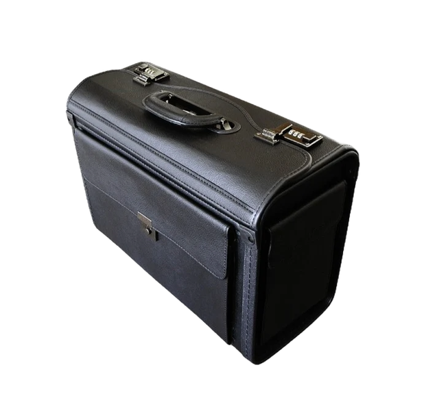 New World Pilot Case