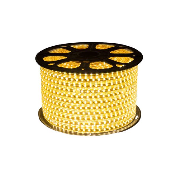 100M Warm White Strip Light 220V