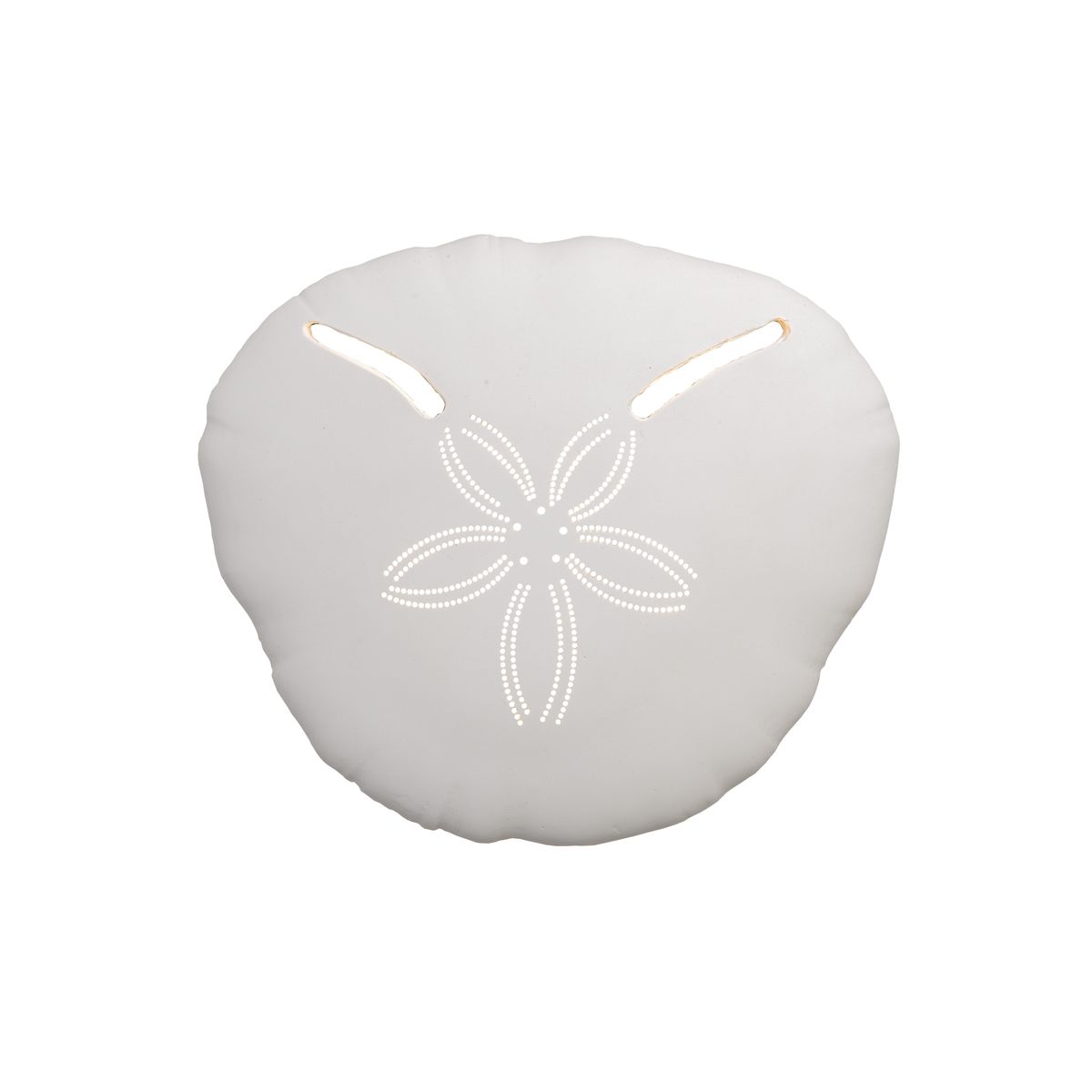 Pansy Shell Wall Light | Shop Today. Get it Tomorrow! | takealot.com