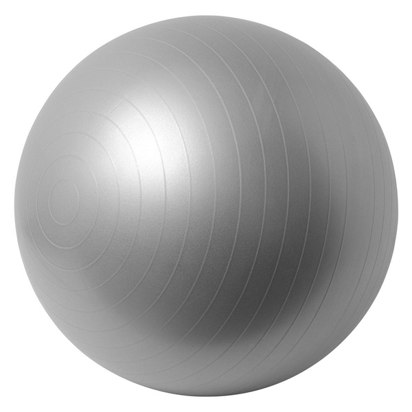 Anti-Burst 65cm Gym &amp; Yoga Active Exercise Ball