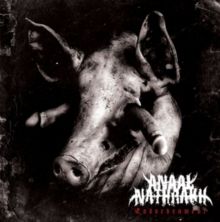 Endarkenment (Vinyl / 12" Album)
