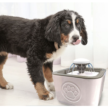 Dog water fountain fashion argos