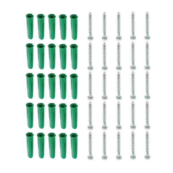 Space TV Steel Coach Screws with Wall Plugs - 25 each