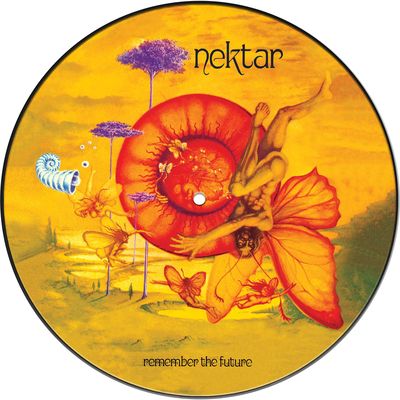 Remember the future (Vinyl / 12" Album Picture Disc)