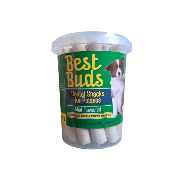 Dental Snacks for Puppies - Mint Flavoured -350g Tub