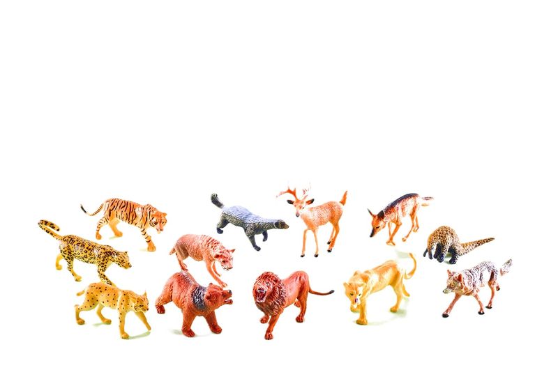 12 Piece Wild Animals in Bag