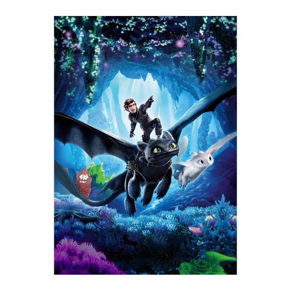 How To Train Your Dragon hidden - A1 Poster
