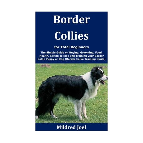 border collie feeding amount guidelines how much to feed