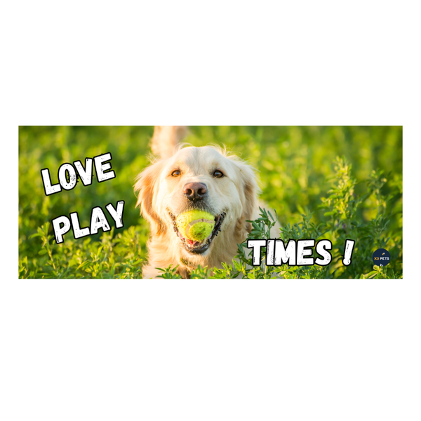 Reptile Cage Sign - "Love Play Times!