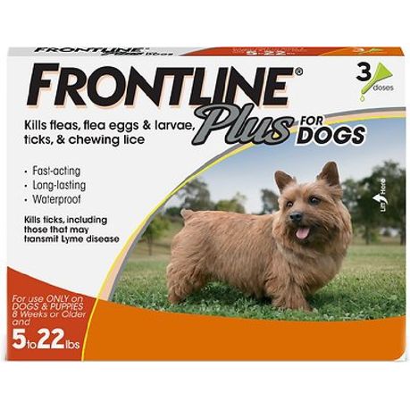 is frontline plus safe for older dogs