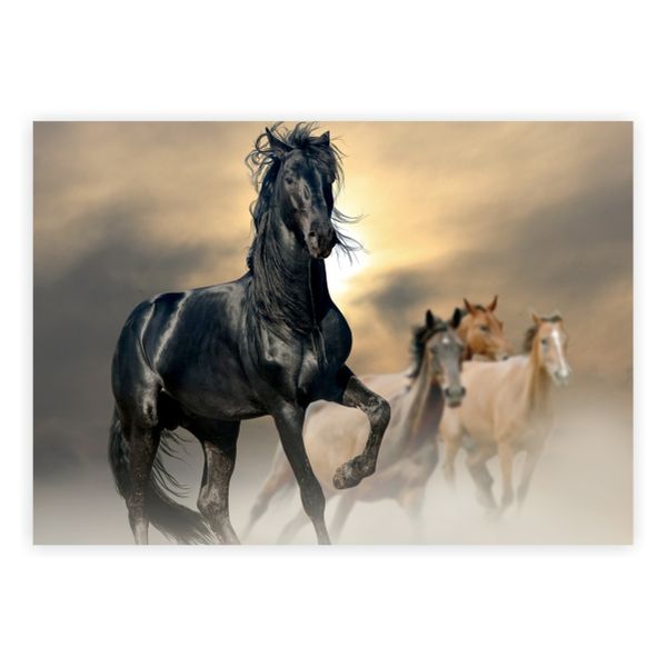 Black Horse In The Wild - A1 Poster