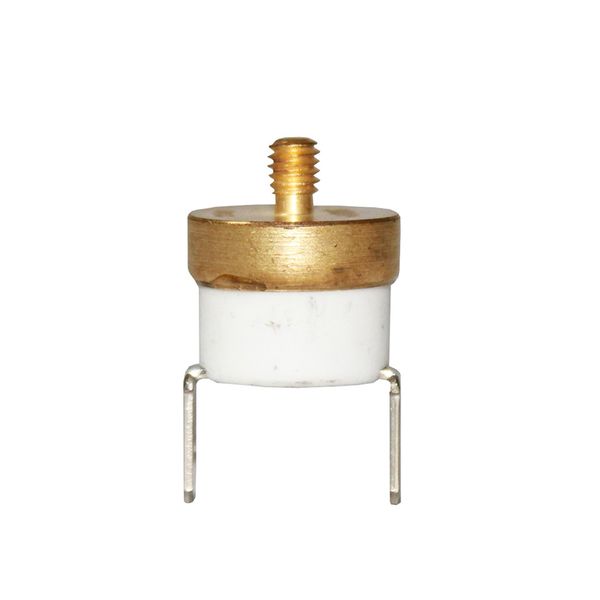 Thermal Fuse 300ºC