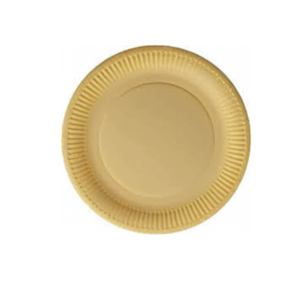 Paper Plate - Pack of 40