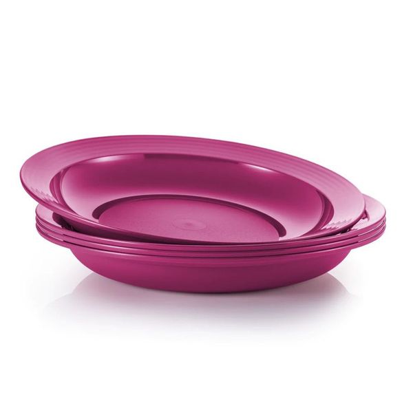 Tupperwae Gourmet Plate Set Of 4